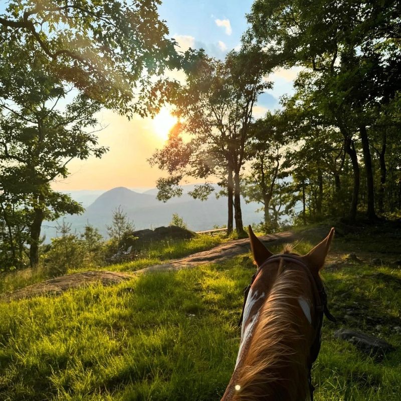 Mountain View Trail Rides &mdash; Accord, New York