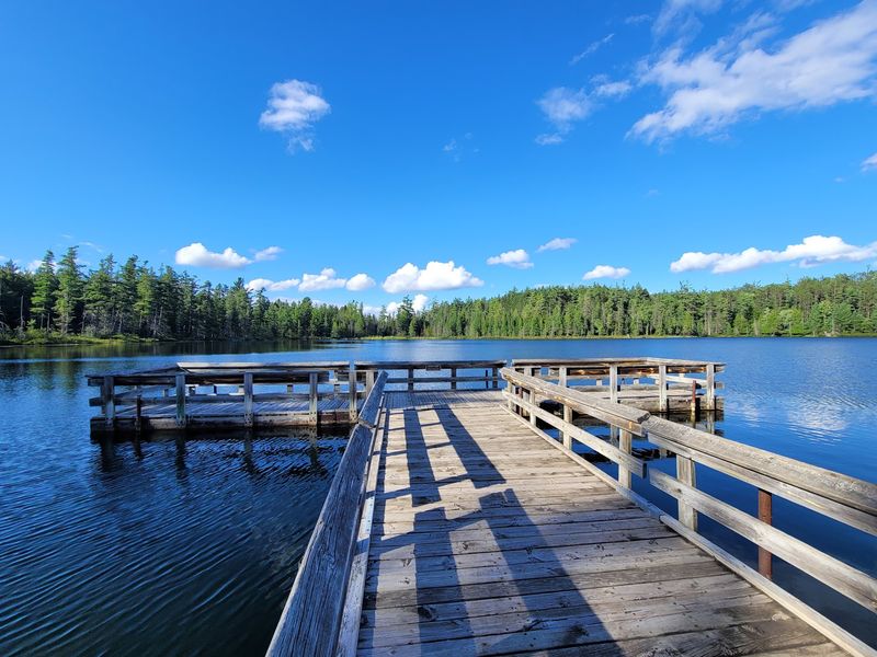 Hartwick Pines State Park, Grayling, Crawford County