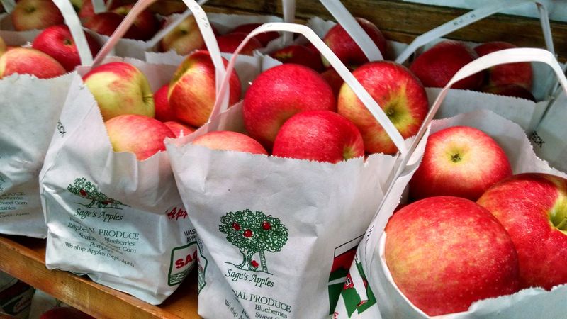 Sage's Apples - Chardon, Geauga County