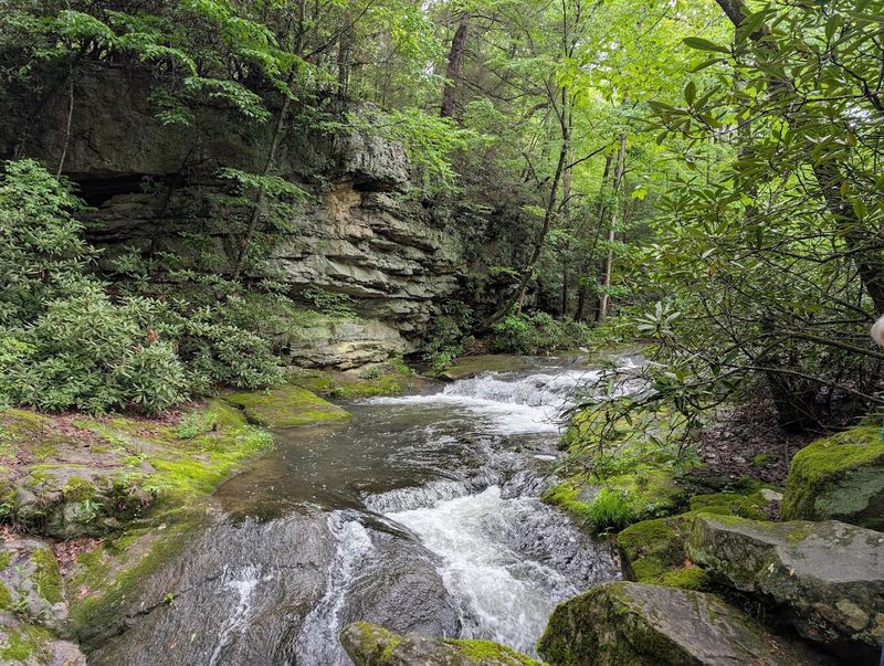 Bear Run Nature Reserve - Mill Run, Fayette County