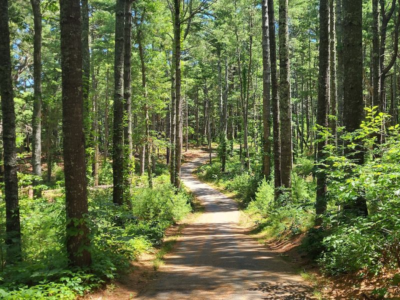 Nickerson State Park - Brewster, Barnstable County