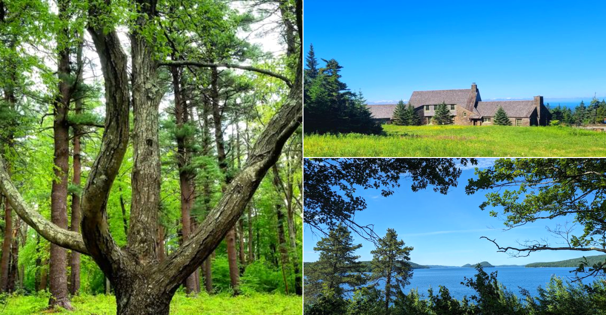 You Can Still Have A Great Day Out At These 10 Massachusetts Adventures Under $20