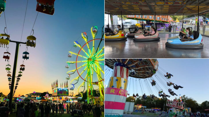 You’ll Find Some Of Georgia’s Best Summer Traditions At These 12 County Fairs