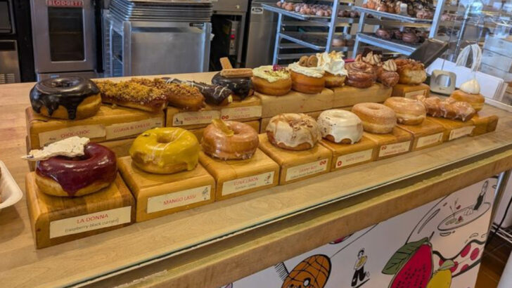 You’ll Never Settle for Ordinary Again After Visiting These 11 New York Donut Shops