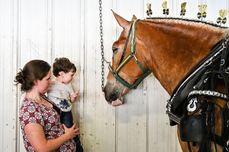 Topsfield Fair (Topsfield, Essex County)