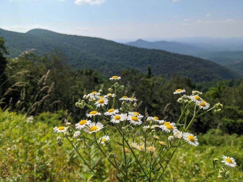 Shenandoah National Park - Luray, Page County