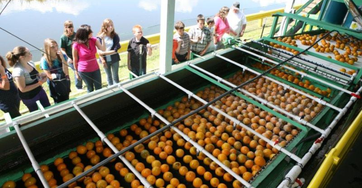 These 10 Florida Factory Tours Gave Us A Behind The Scenes Look We Won’t Forget