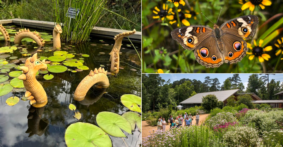 Discover A North Carolina Garden Where Scenic Paths Lead To Outdoor Chess