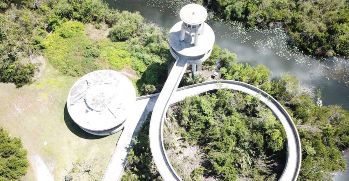 This Epic Florida Bike Trail Is Officially the Best Way to See Hundreds of Alligators in Their Natural Habitat