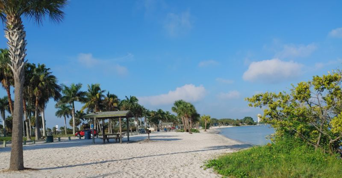 Walk Barefoot Along A Florida Beach Where Soft Sand Meets The Atlantic Ocean