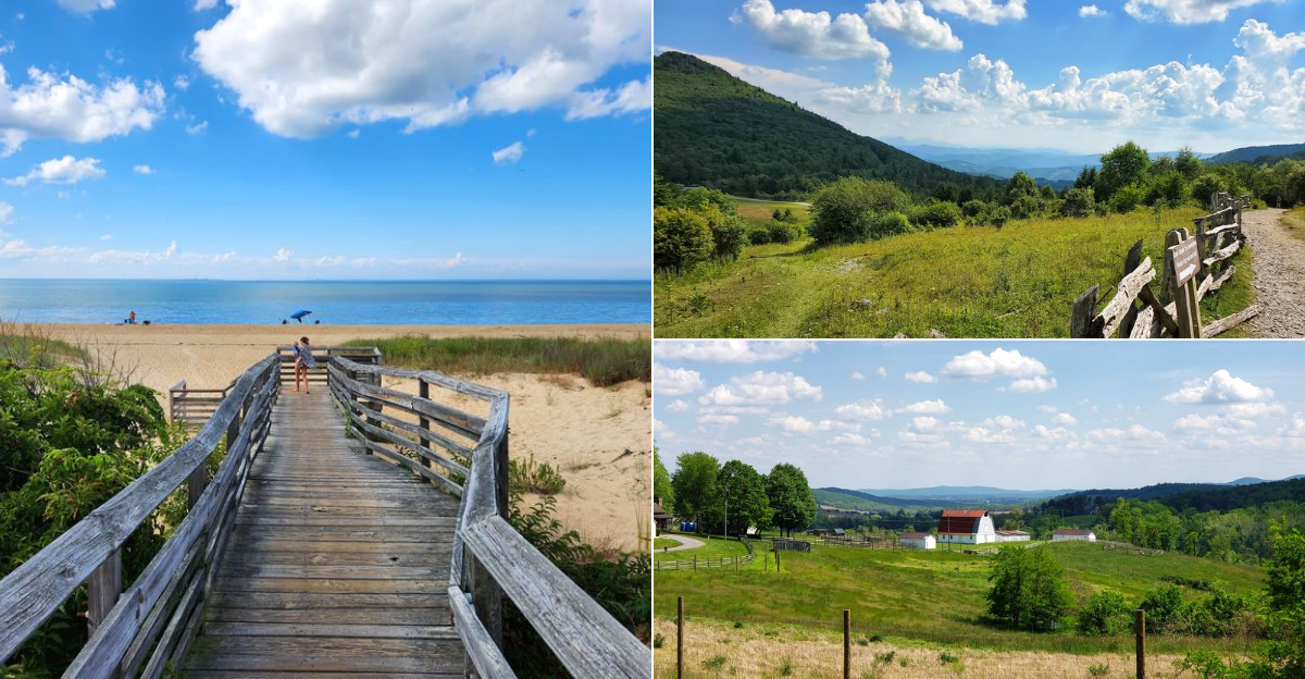 We Had More Fun Than Expected At These 11 Virginia Experiences For Under $50