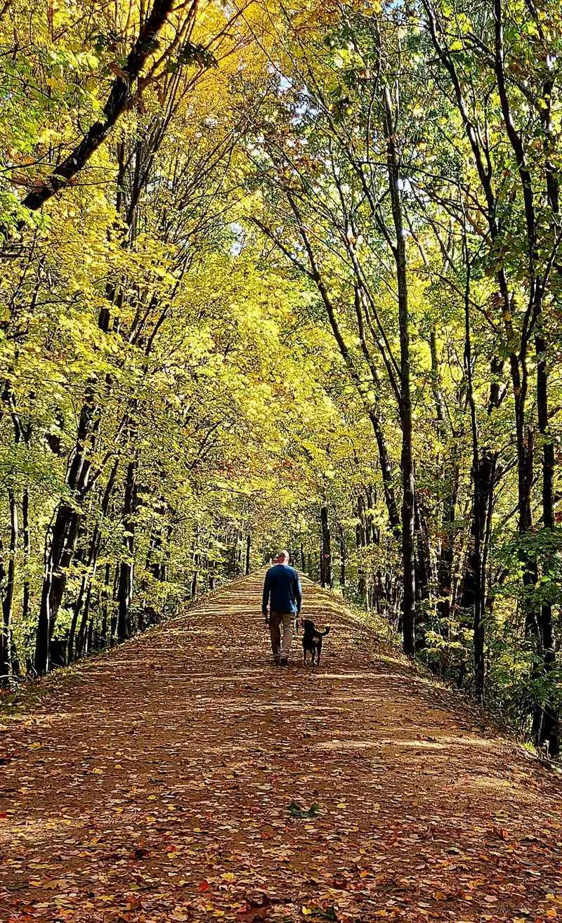 A Quiet Afternoon That Keeps Going - Hop River State Park Trail