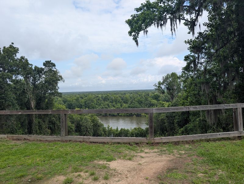 Torreya State Park - Bristol