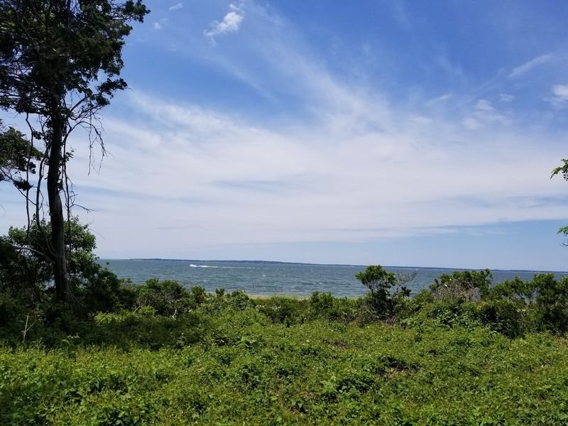 Elizabeth A. Morton National Wildlife Refuge Native Garden - Sag Harbor