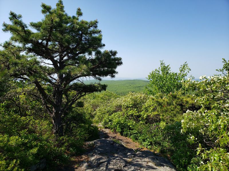 Bear Mountain Trail - Salisbury