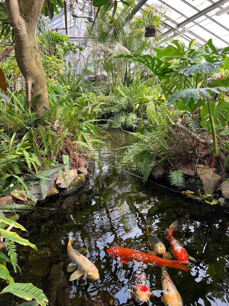 Connecticut's Beardsley Zoo, Bridgeport, Fairfield County