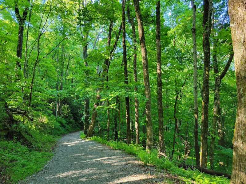 Raven Cliff Falls Trail - Caesars Head State Park