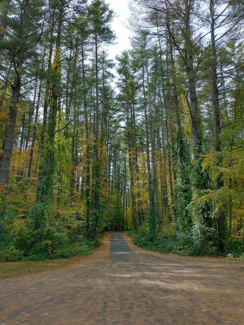 Housatonic Meadows State Park Cabins, Sharon, Litchfield County