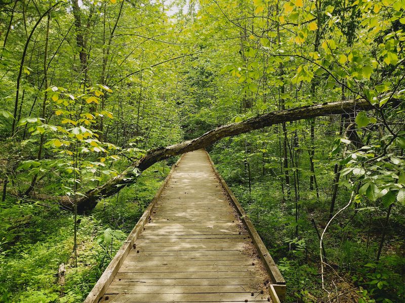 Beaver Lake Trail