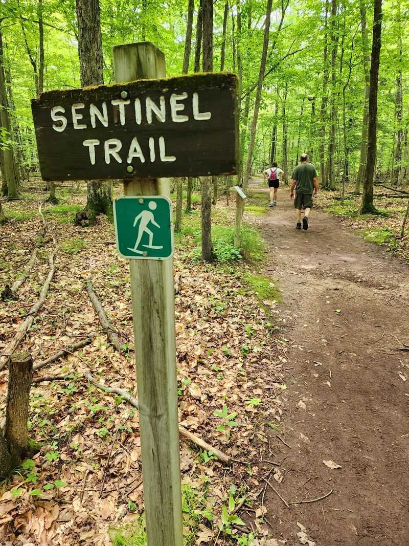 Sentinel Trail