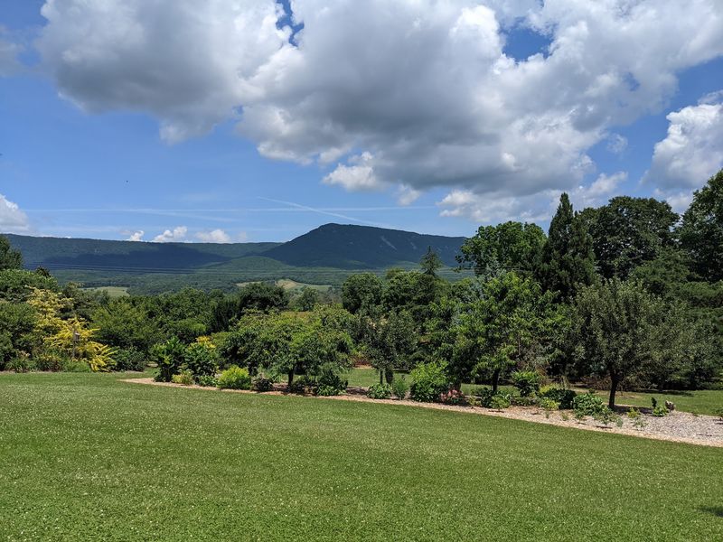 Birdsong Pleasure Garden - Luray