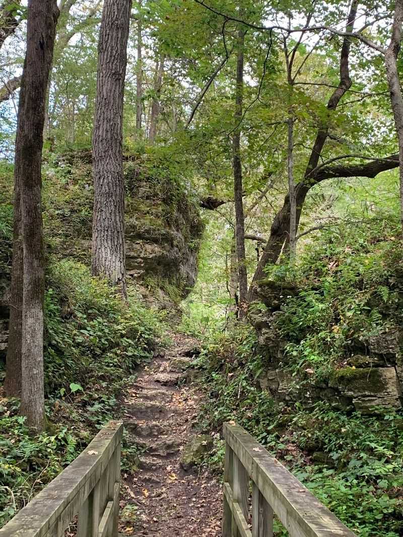 Backbone State Park Trail System
