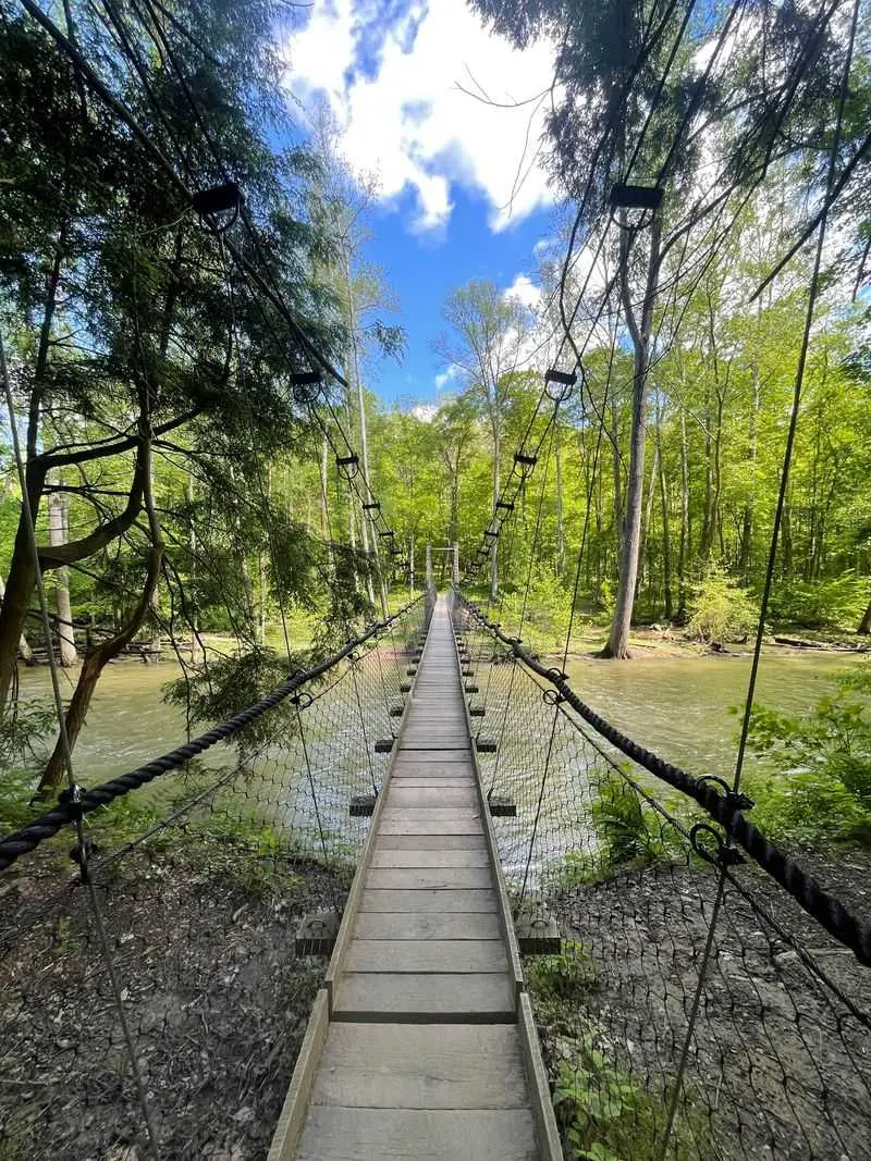 River Bends and Forest Shadows - Mohican State Park in Loudonville, Ashland County
