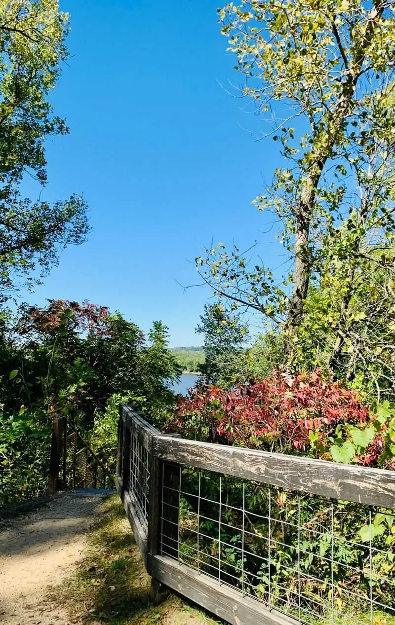 Horseshoe Bluff Lookout 