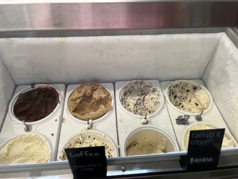 Peach Ice Cream at Homeland Creamery - Julian
