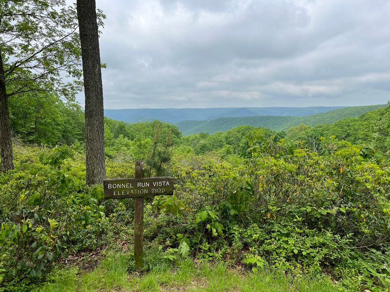 Golden Eagle Trail