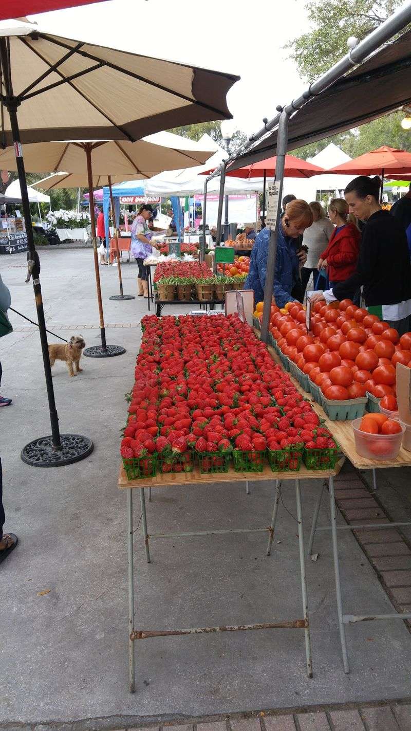 Winter Park Farmers' Market - Winter Park