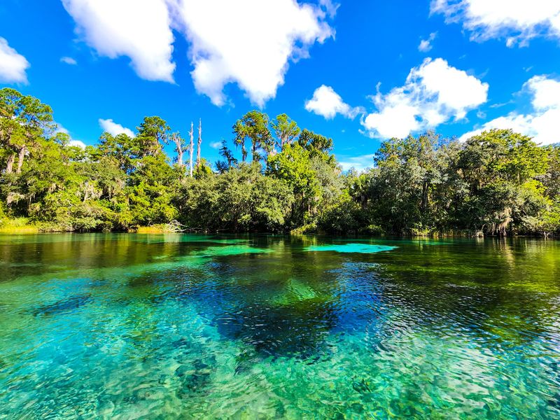 Rainbow Springs State Park - Dunnellon