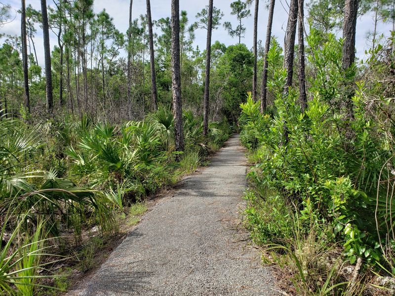 Everglades National Park - Homestead