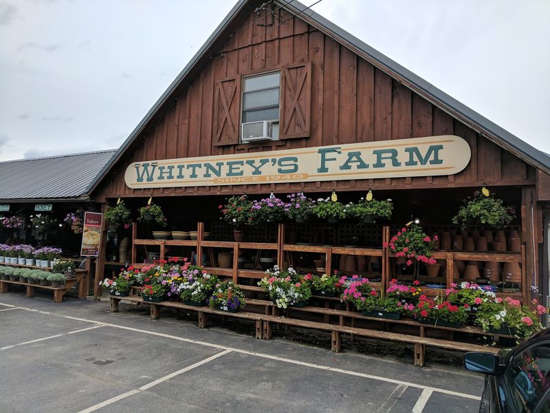 Whitney's Farm Market & Garden Center, Cheshire
