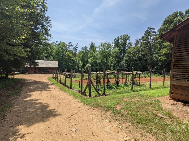 The Orchard at Horne Creek Farm (Pinnacle)