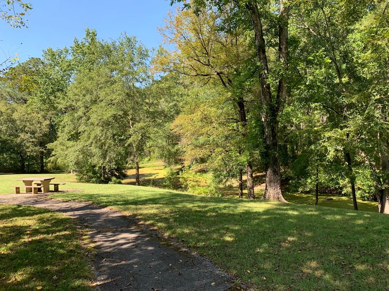 3. Woodland Calm at Molly's Rock Picnic Area - Newberry