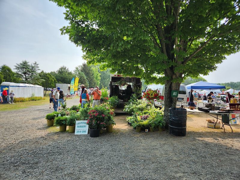 Elephant's Trunk Country Flea Market - New Milford, Litchfield County,