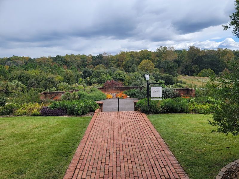 A Big Free Garden That Feels Like A Find