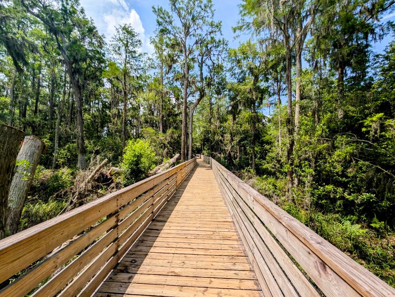 Rolling Hills, Pine Air, and Three Lakes to Explore