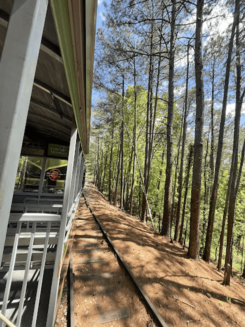 Woods That Feel Far From Atlanta