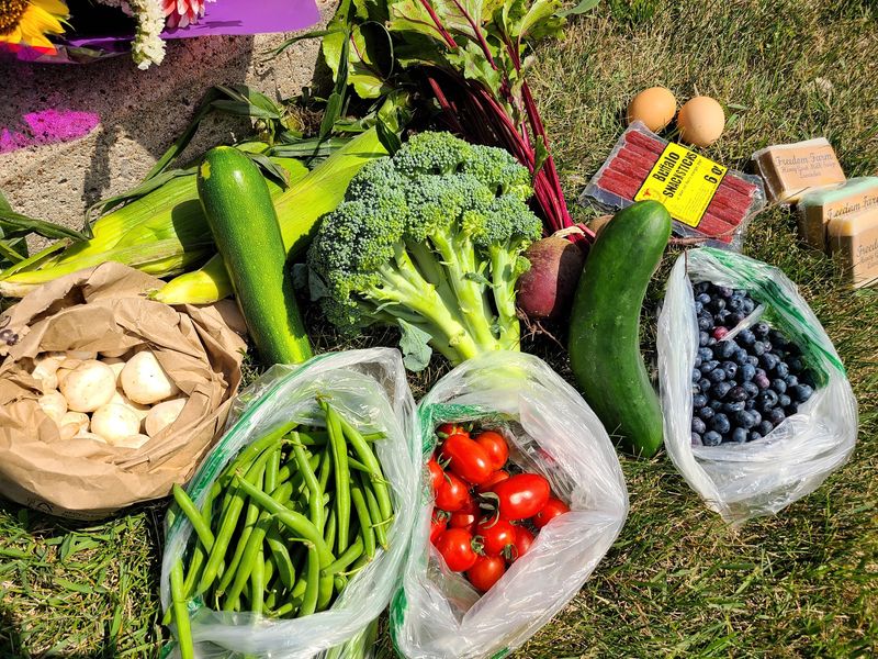 Main Street Energy at Oshkosh Farmers Market - Oshkosh