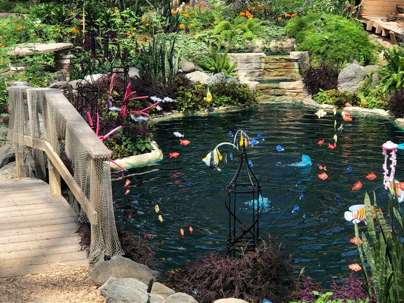 Birds, Button Quails, And Koi Add Extra Charm