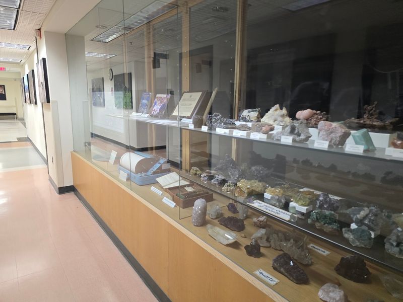 Milwaukee's Quiet Fossil Archive