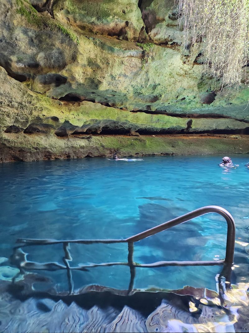 Snorkeling Opens the Door for Non-Divers