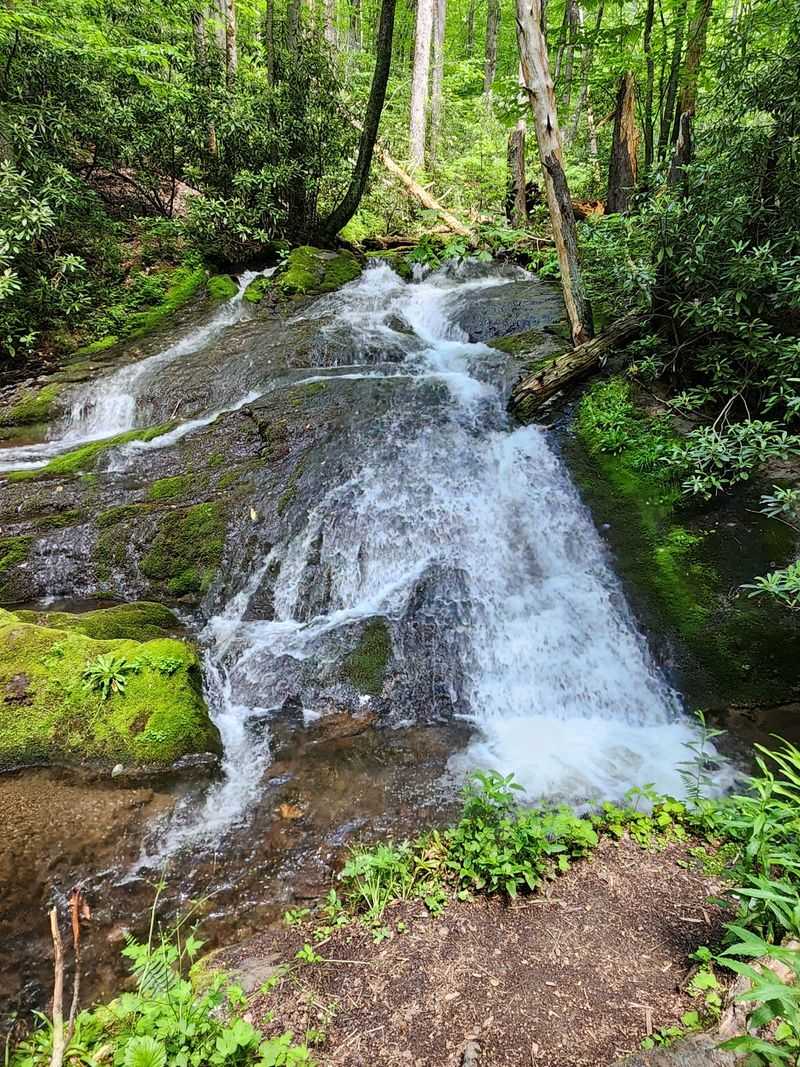 A Waterfall Ride That Feels Earned