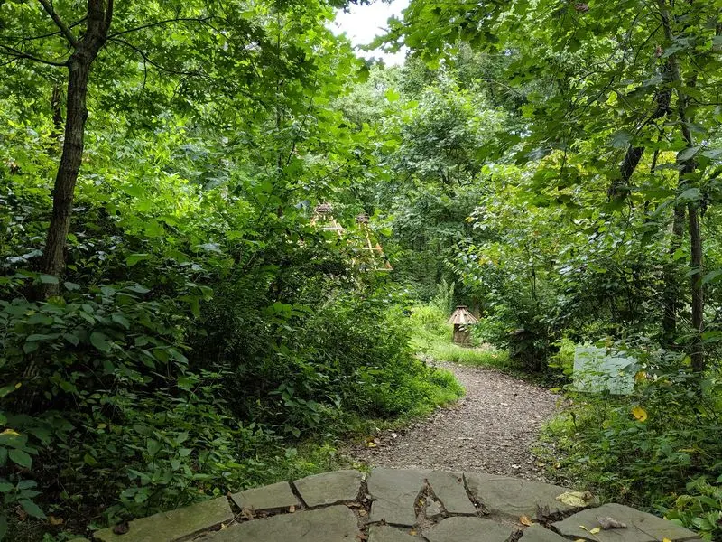Trails That Feel Like A Woodland Treasure Hunt