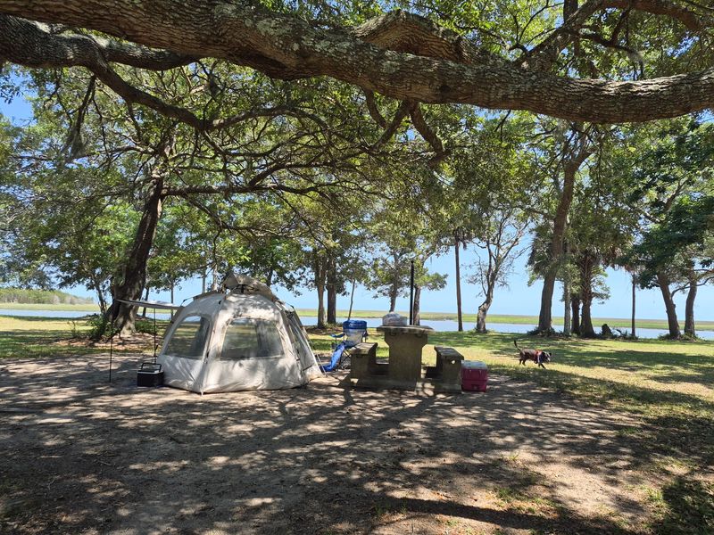 Quiet Camps Instead Of Beach Crowds