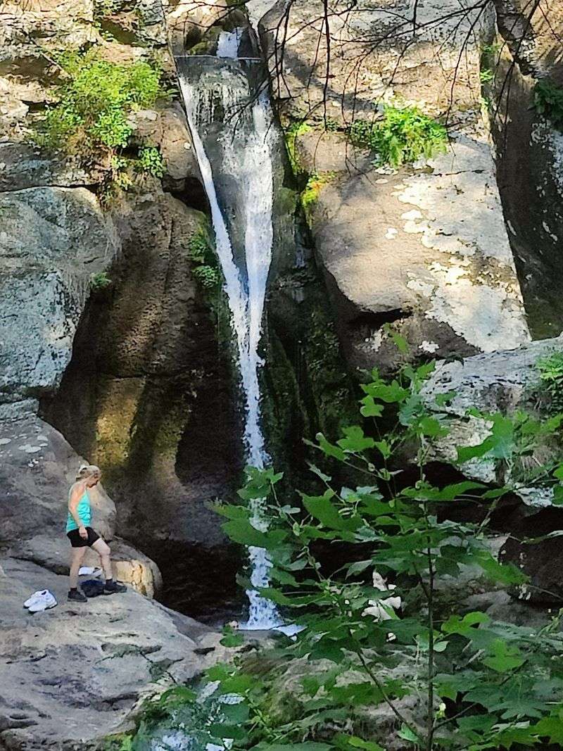 The Soundtrack of Nature That Drowns Out Everything Else