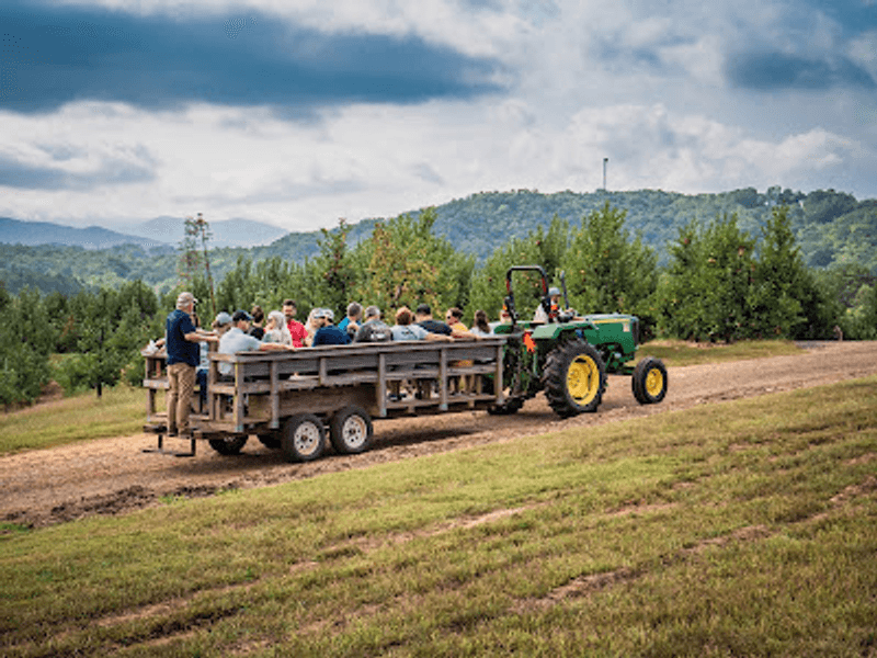 A Sweet Stop for Families and First-Timers
