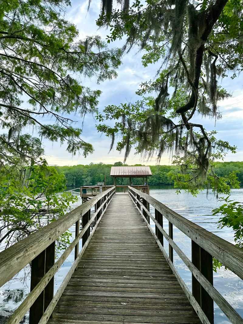 A Boardwalk into Cool Shade and Clear Springs